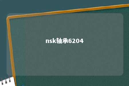 nsk轴承6204 